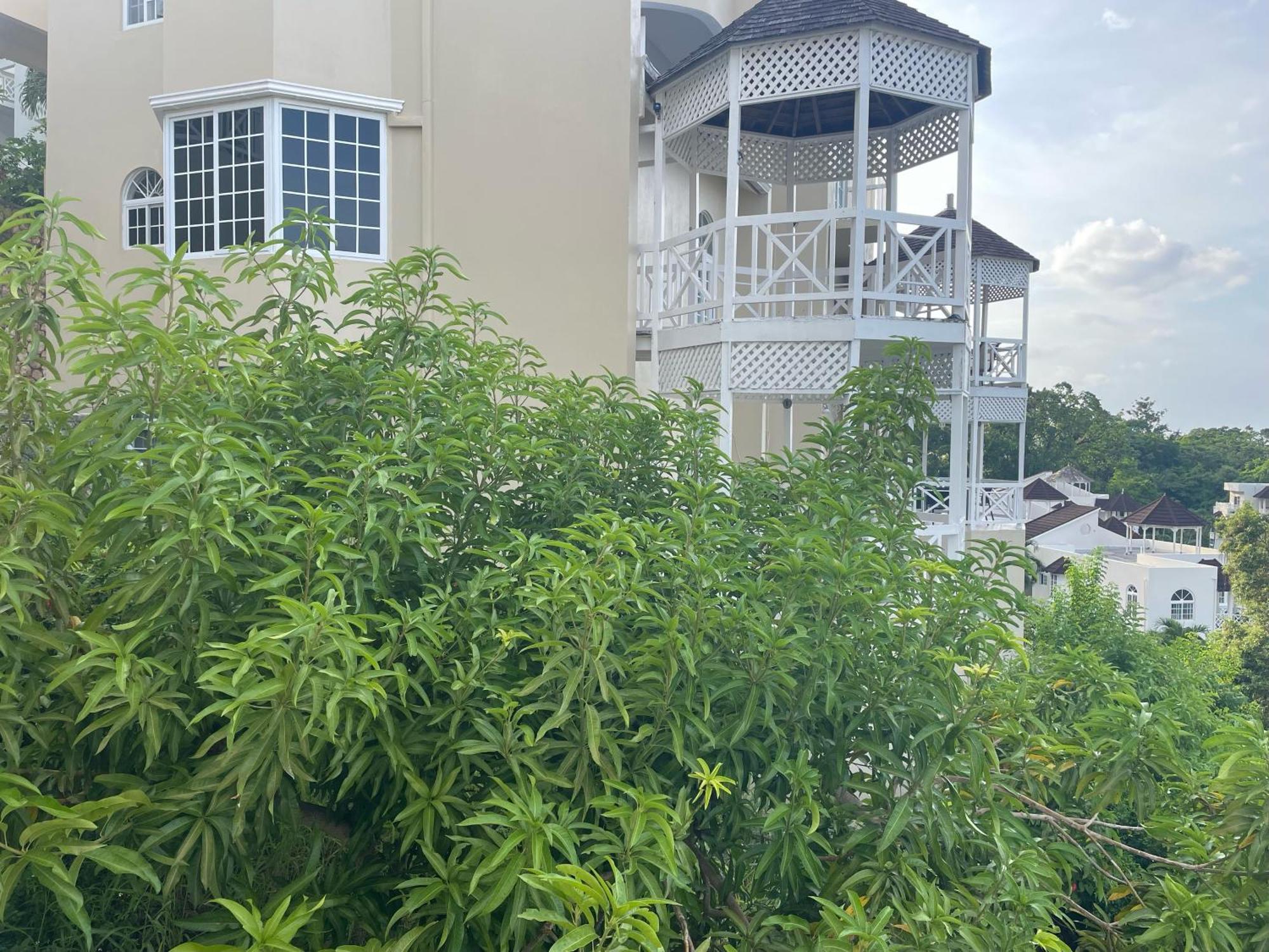 Oceanbreeze Jamaica Penthouse, 7-Minute Walk To Beach Ocho Rios Exterior photo